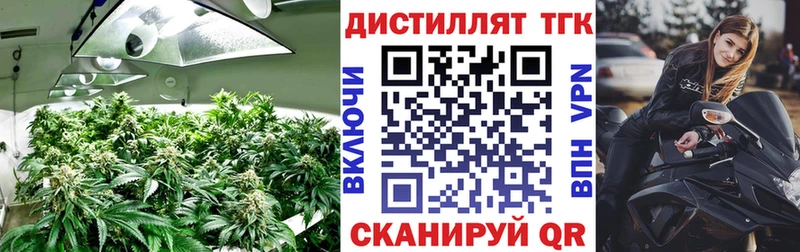 блэк спрут зеркало  Цивильск  ТГК THC oil  где можно купить наркотик 